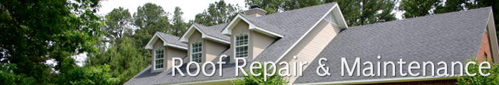 Roofing Services in MI, including Sterling Heights, Farmington & Troy.